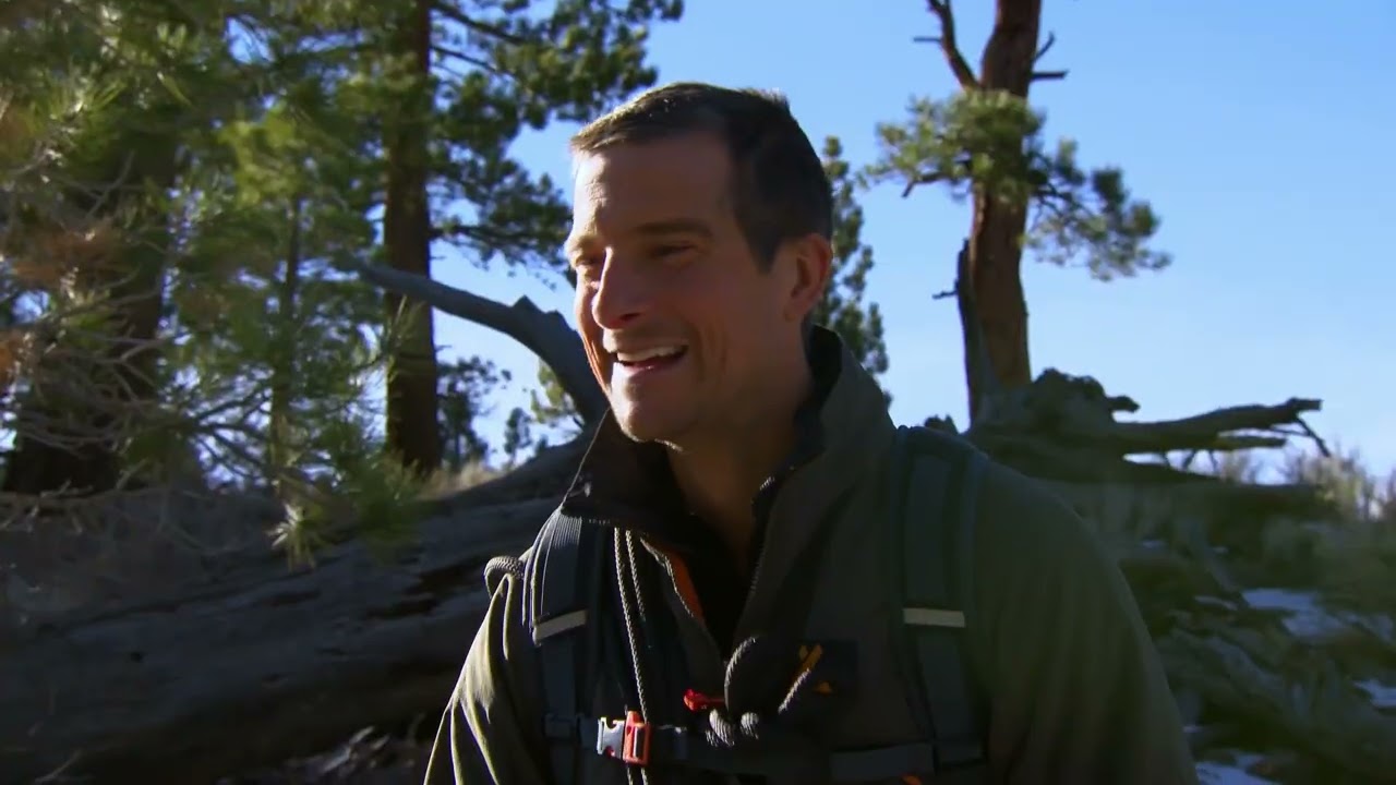 Survival Cooking at Its Limits | Bear Grylls: Face the Wild
