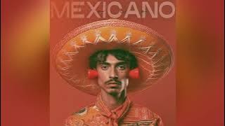 vvzm - LOCO MEXICANO