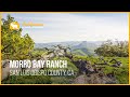 Amazing Coastal Ranch | Morro Bay Ranch, Morro Bay California