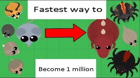 FASTEST WAY TO BECOME 1 MILLION IN MOPE IO! | Mouse To Trex