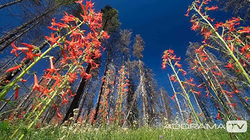 Using your Super Wide Angle Lens: You Keep Shooting with Bryan Peterson