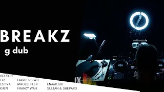 Melodic Breaks Mix | DJ G Dub Live on Mix Dayz