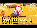 【ぽこあポケモン #1】新世界へ!ここから冒険が始まる!