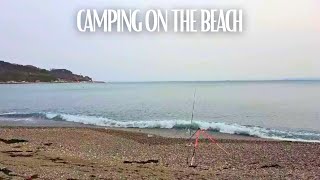 Camping On The Beach | Catch and Cook