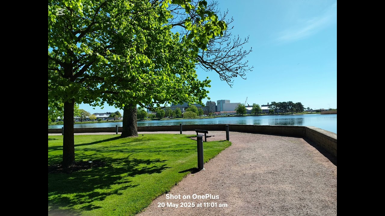 Calm music and a nice view (11 minutes)