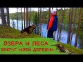 РЕЛАКС | Озера и леса вокруг моей деревни летом | Карелия | лето в деревне #лес #деревня #озера