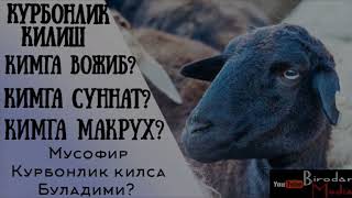 ноокат хошятуллох домулла