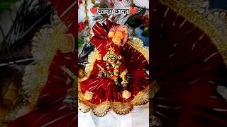 ❤️कान्हा कान्हा❤️#laddugopal #shortsfeed #shorts #viral #ytshorts #youtubpartner #radheradhe #foryou