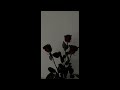 Forest Blakk If You Love Her Sped Up Reverb Forest Blakk If You Love Her Sped Up Reverb