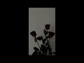 Forest Blakk - if you love her |(Sped up & Reverb)