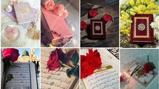 Holy Quran Islamic Pics| Islamic DPz for Whatsapp status
