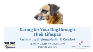 Caring For Your Dog Through 5 Stages of Your Dog’s Lifespan 2-4-2023 by YourDogsFriend 363 views 1 year ago 1 hour, 21 minutes