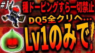 【DQ5】RPGの常識を覆す！ドーピング一切禁止でLv1のキャラだけでDQ5全クリへ！1章・ドラクエ5/Clearing DQ5 with only Lv1 characters!