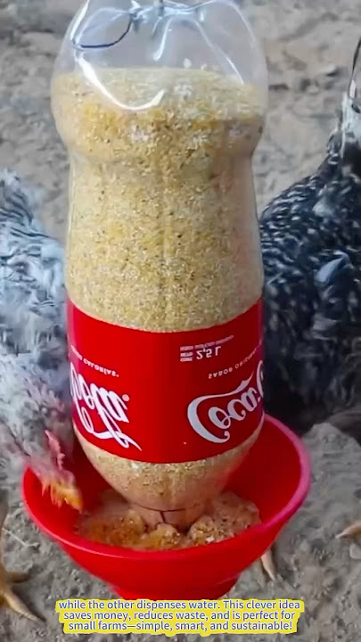 Coke Bottle Hack: Genius Chicken Feeder & Waterer! #farming #farm