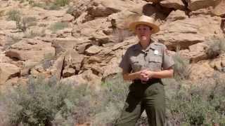 Explore Arches National Park