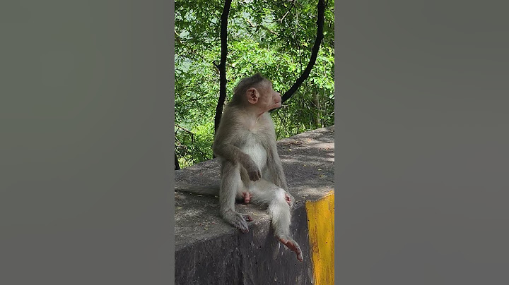 #பணம் மரத்திலிருந்து கிடைக்குதுன்னு சொன்னா யாரும் நம்ப மாட்டேங்கிறாங்க