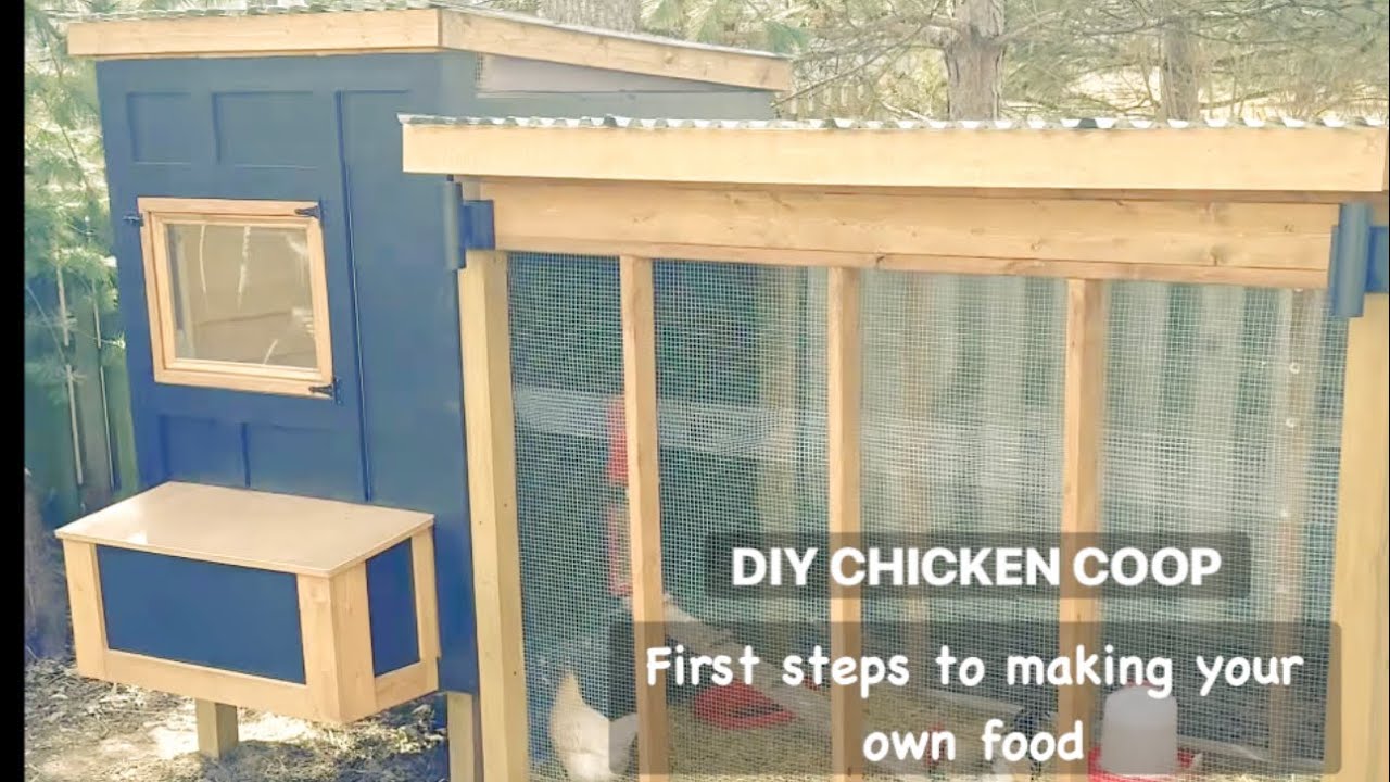 Chicken coop YouTube