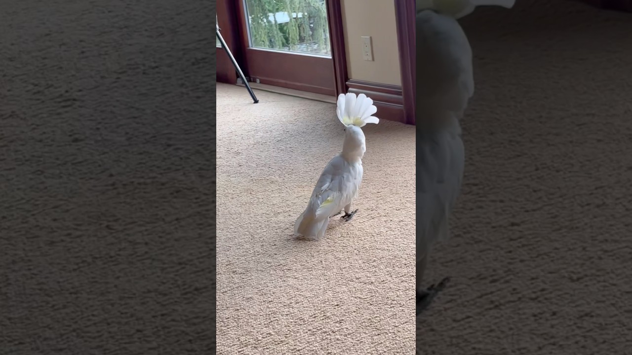 Cutest security team ever 