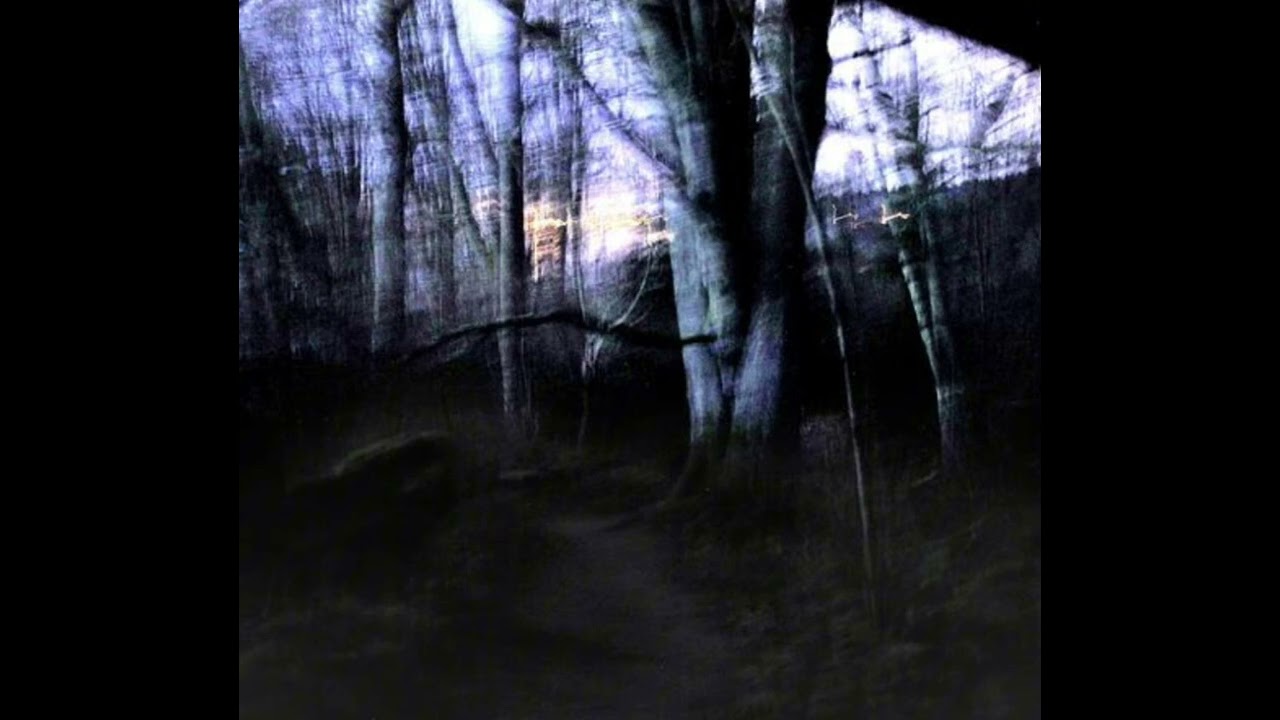 Electric Wizard type riff/Doom Metal