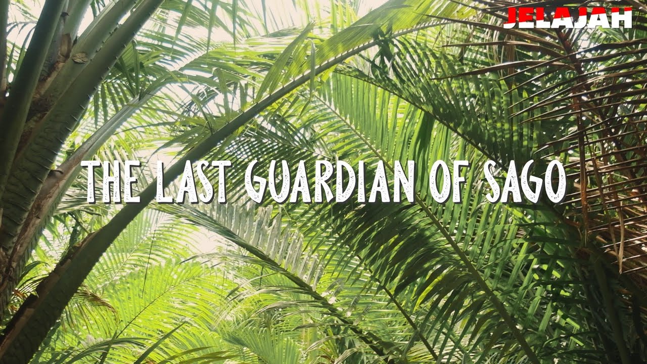 [FILM DOKUMENTER] JELAJAH - "The Last Guardian of Sago – Kisah ParaPelestari Sagu"