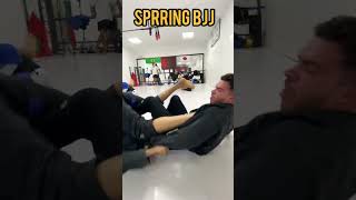 sparring jiu jitsu 80