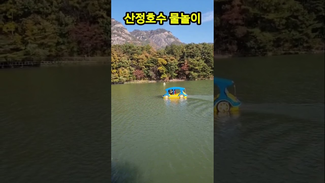 포천 산정호수 억새풀 축제 물놀이 단풍구경 #shorts