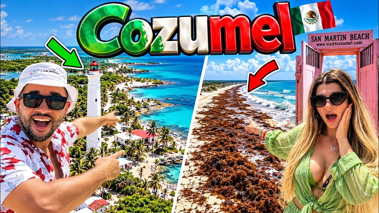 Cozumel Was Covered in Seaweed... Then We Found This Beach