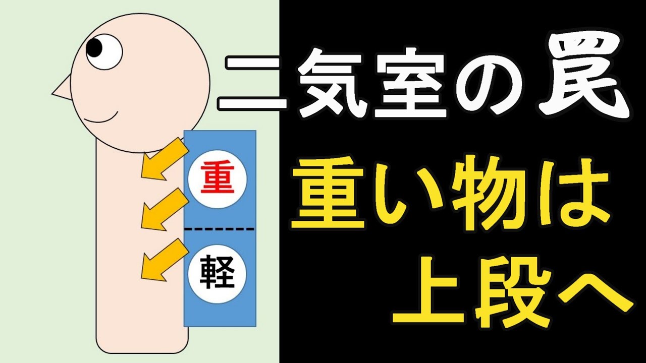 【二気室】カメラ用リュックのあるべき構造について小学生レベルの絵で説明する男 - YouTube