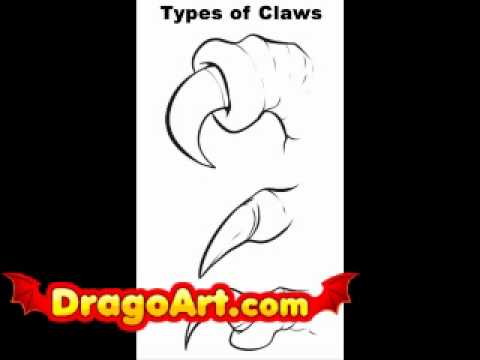 How to draw claws, step by step - YouTube