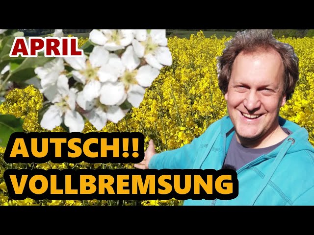 Honigtraum |  Schwarmzeit | Schneesturm | Gibt es Honig? | Imkern im April | Neues aus der Imkerei