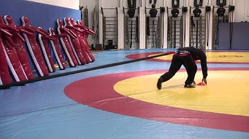 HIRTS Speed - Sprints