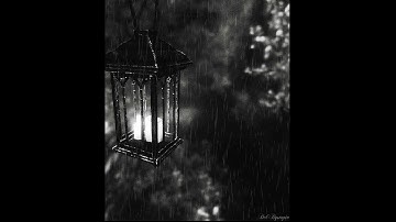 #سورة البقرة _ # تلاوة رعد الكردي - صوت المطر