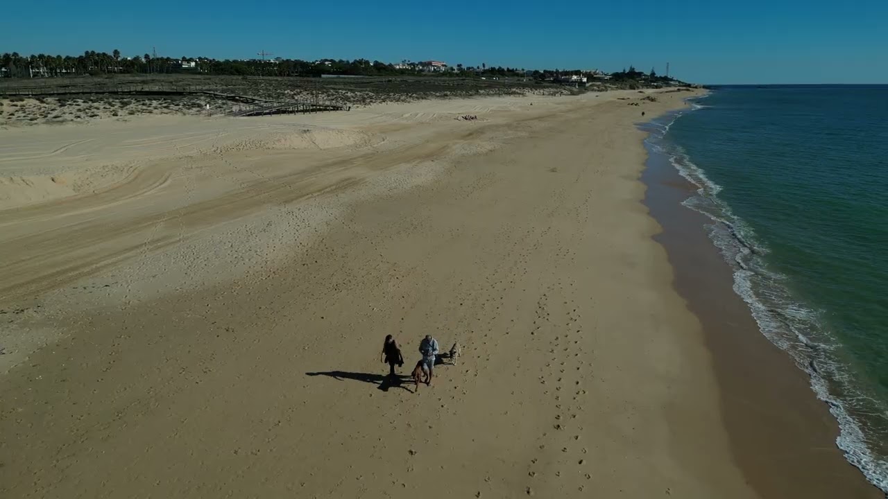 Gale mit den Hunden I