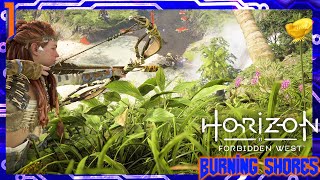 Horizon: Forbidden West The Burning Shores Playthrough Part 1 | Escape To LA