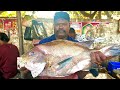 KASIMEDU SPEED SELVAM ❤️‍🔥😱VERY BIG SIZE KORALI FISH 🐟 CUTTING 🔪VIDEO FISHERMAN ENTERTAINMENT VIDEOS