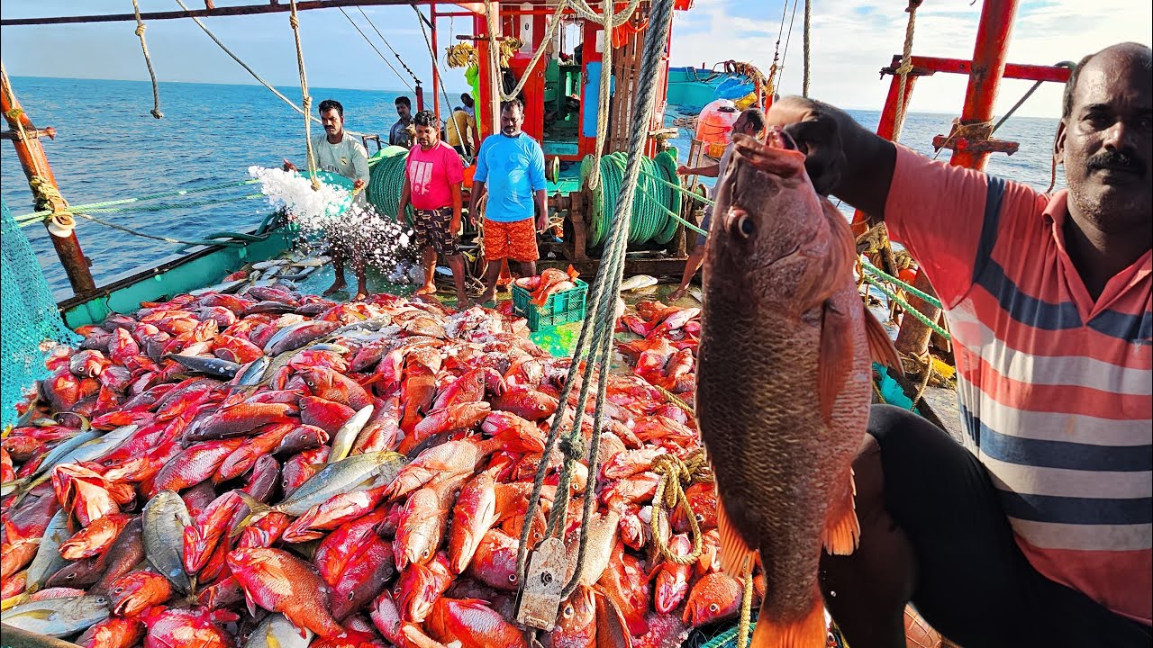 “Record Breaking Jackpot Catch 🐟Couldn’t Believe This Catch 😳”