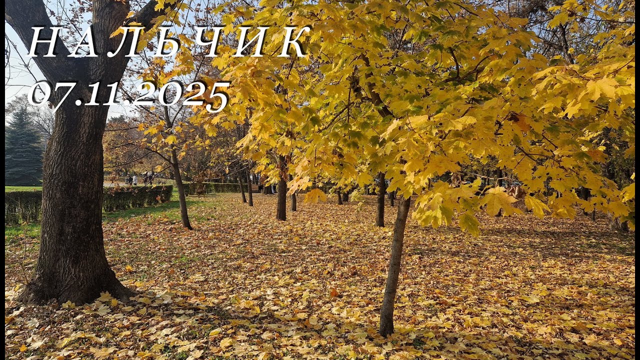 Нальчик, 07.11.2025г.