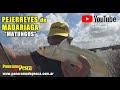 Matungos en Madariaga. Pesca de pejerrey 2021