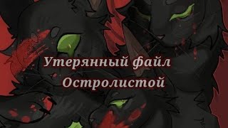 #14 утерянные файлы /Остролистая/ коты воители