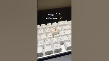 miffy with carrot (⸝⸝• ༝ •⸝⸝)🥕 #miffy #keycaps #polymerclay #artisankeycaps #keyboard