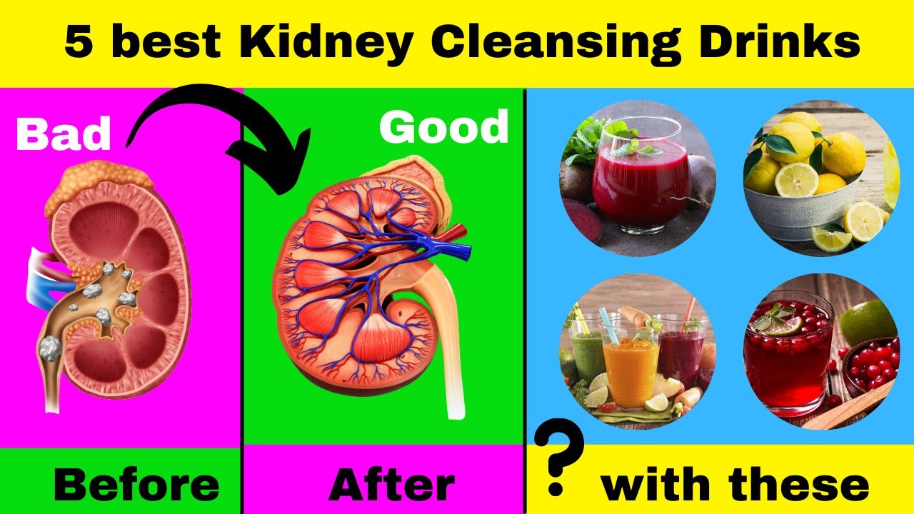 How to clean your kidney (5 best Kidney Cleansing Drinks) Facts Buddy
