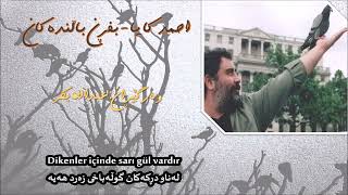 Ahmet Kaya-Uçun kuşlar uçun-Kurdish subtitle ئەحمەد کایا-بفڕن باڵندەکان بفڕن