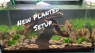 Setting Up Perfect Planted Aquarium | Fins And Feathers Aquaria