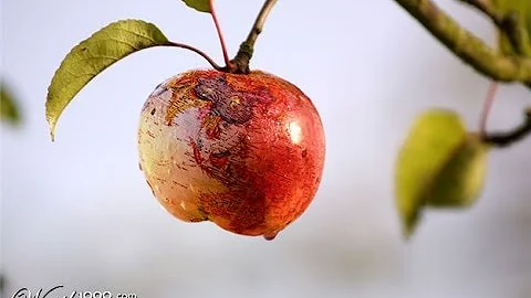 The World is an Apple By Alberto Florentino - BSA 2A