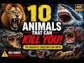 Deadly Encounters (Full Episode) | 10 Animals That Can Kill You | NatGeo_Official