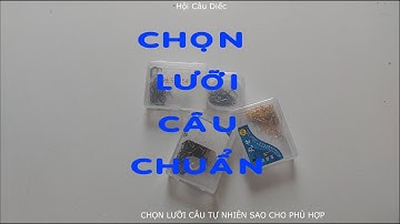 Chọn lưỡi câu tự nhiên chuẩn