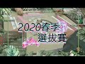 【吳老師麻將】2021第二屆春季海選賽開始｜20201220