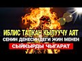 Мына жиндер менен сыйкырды талкалаган эң күчтүү рукъя аяттарынын күчү