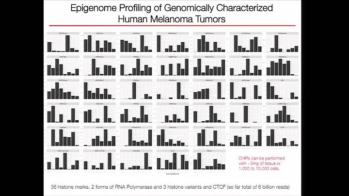 Understanding the Evolution of Melanoma Epigenome - Kadir Akdemir