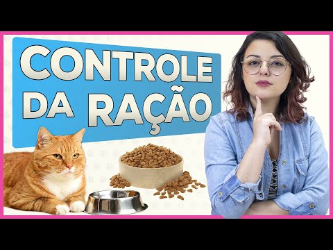 Vídeo: Como Alimentar Gatos. Os Quatro Desafios Para Alimentar Vários Gatos